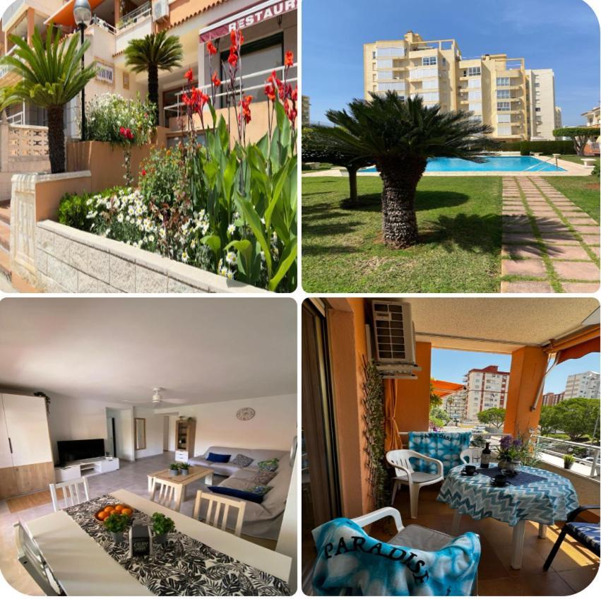 Apartamento Paradise Solo Familias Gandía Exterior foto
